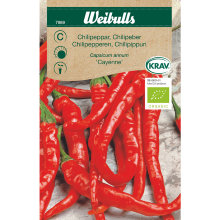 Chilipeber 'Cayenne' økologisk 